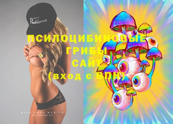 дживик Балахна