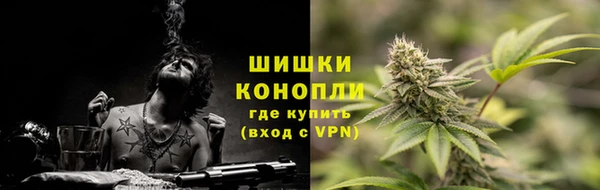 дживик Балахна