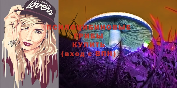 дживик Балахна