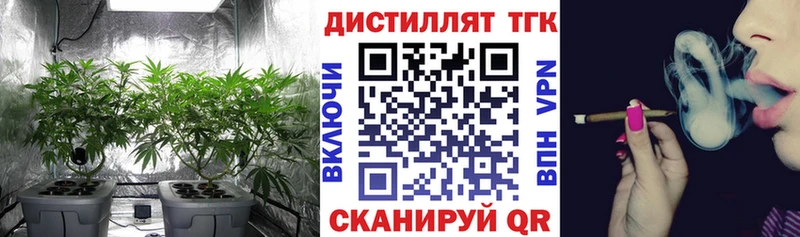 ТГК Wax  omg маркетплейс  Барыш 